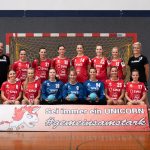 D2 Spielbericht: TSV Haunstetten II – HSG Pleichach
