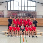 wD Spielbericht: TSV Haunstetten – SV Mering, TSV Niederraunau