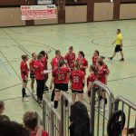 D2 Spielbericht: TSV Haunstetten – HSG Zirndorf