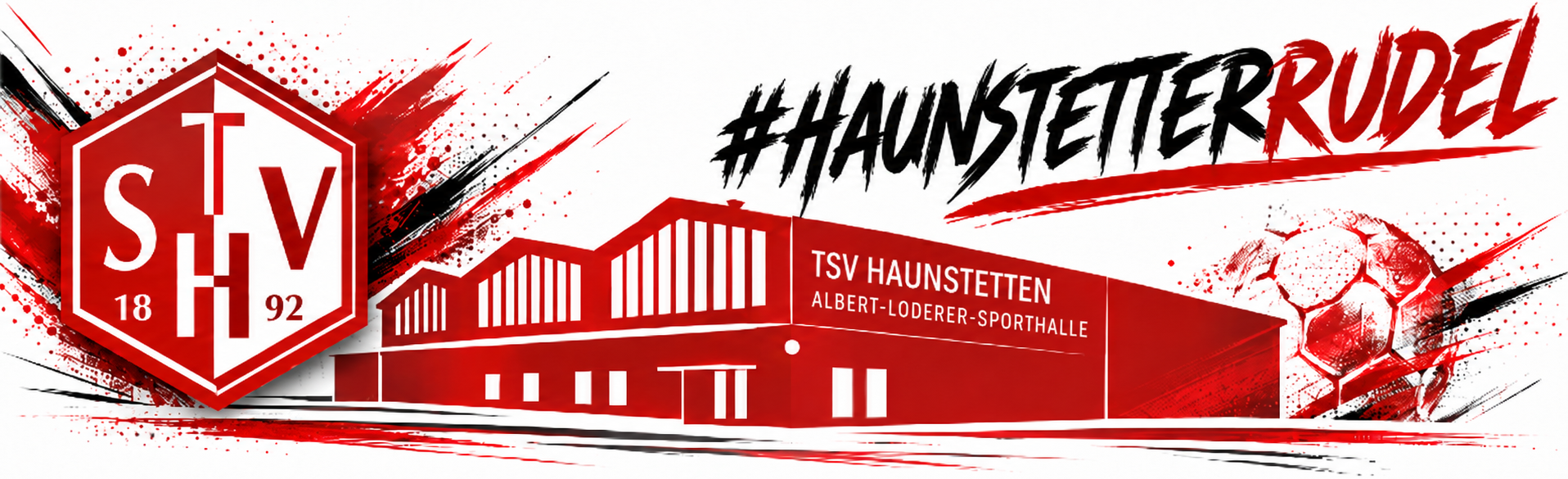 Handball in Augsburg ⚽ Handball beim TSV Haunstetten