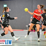 D1 Vorbericht: TSV Haunstetten – TSG Friesenheim