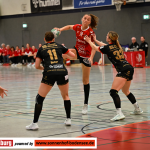 D1 Vorbericht: SG Schozach-Bottwartal – TSV Haunstetten